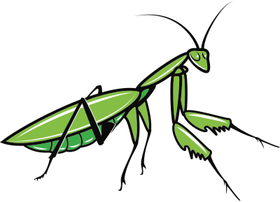 Praying Mantis clipart