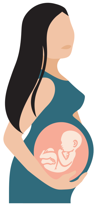 Pregnant Woman With See Through Belly Illustration clipart