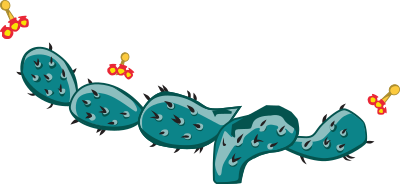 Prickly pear clipart