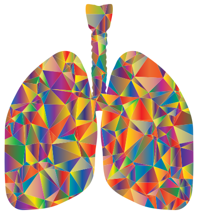 Prismatic Low Poly Lungs Silhouette clipart