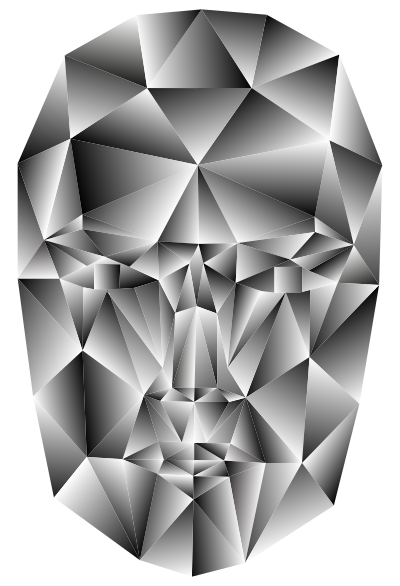 Prismatic Wireframe Head 3 clipart