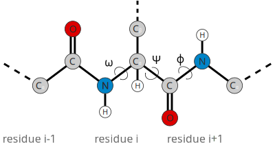 Protein backbone diagram clipart