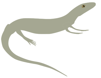 Prototothyris clipart