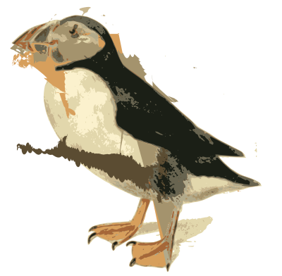 Puffin clipart