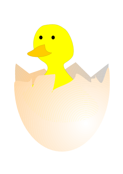 Pulcino clipart