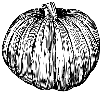 Pumpkin clipart