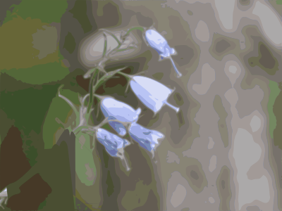 Purple flower clipart