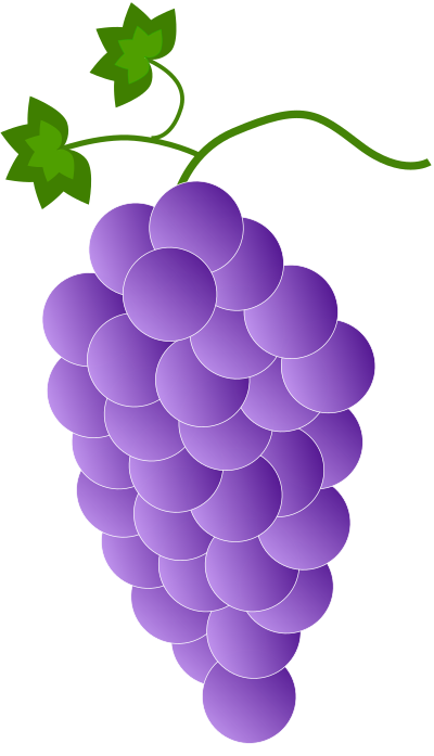 Purple grapes clipart