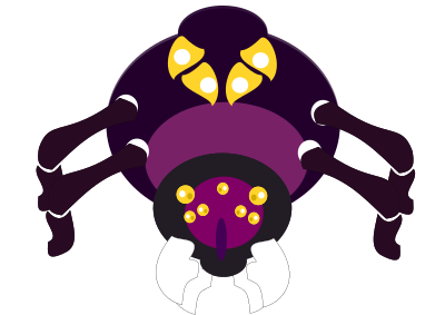 Purple spider clipart