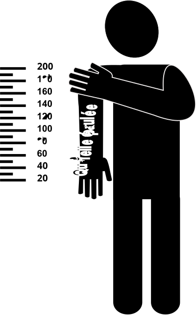Quenelle epaulÃ©e clipart