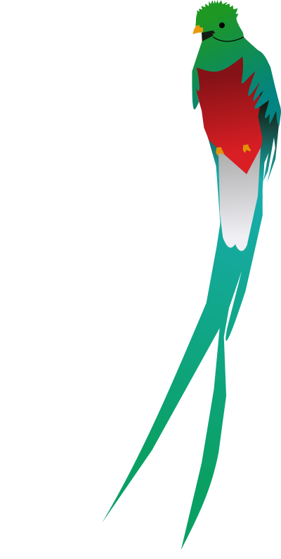 Quetzal clipart