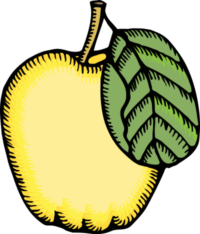 Quince clipart