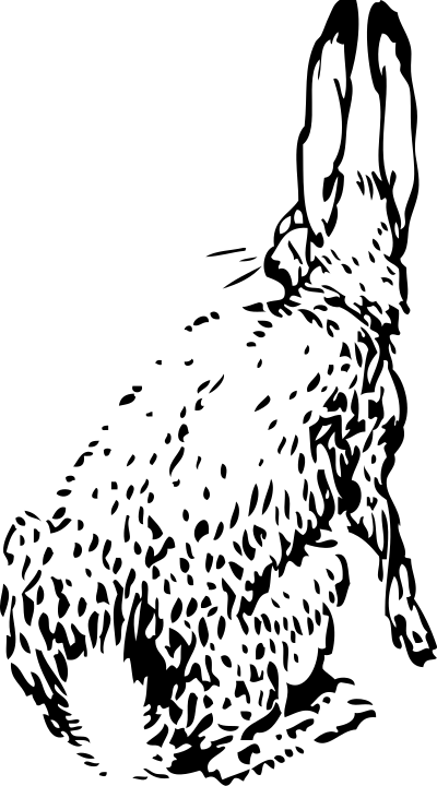 Rabbit from behind clipart
