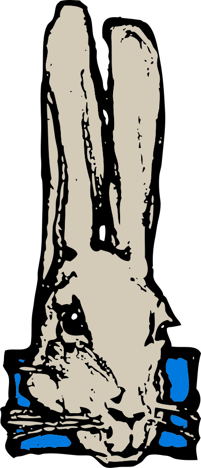 Rabbit head clipart