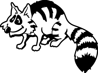 Raccoon clipart