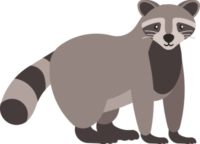 Raccoon clipart