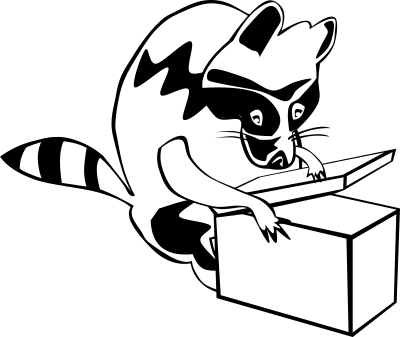 Raccoon opening box clipart