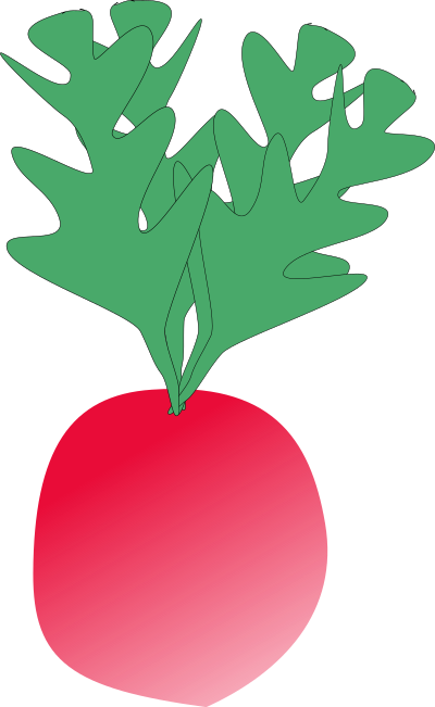 Radish clipart