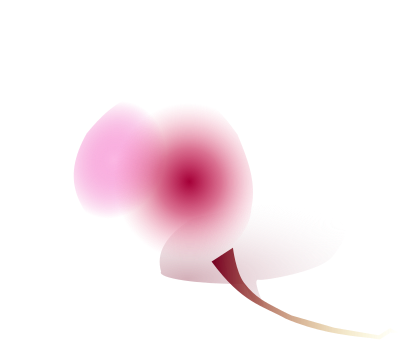 Radish clipart