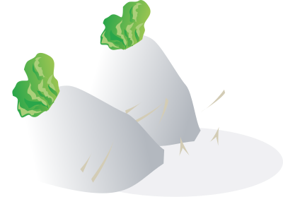 Radishes clipart