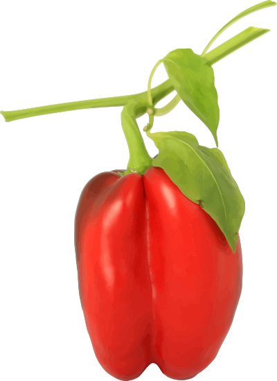 Red pepper clipart