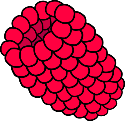Red Raspberry clipart