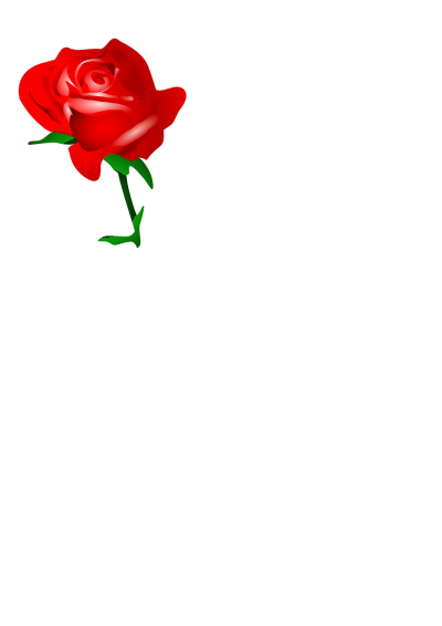 Red rose clipart