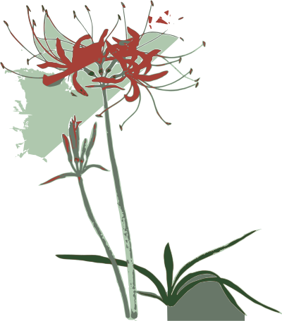 Red Spider Lilly clipart