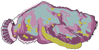 Red stonefish clipart