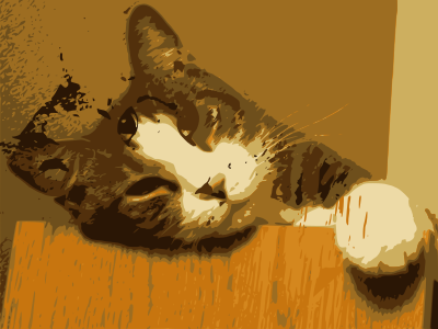 Relaxed Cat clipart
