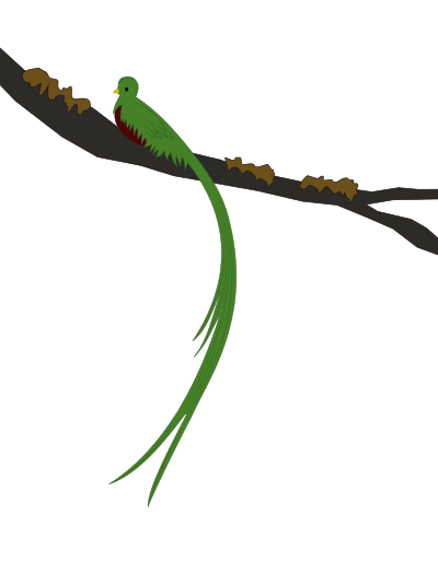 Resplendent Quetzal clipart