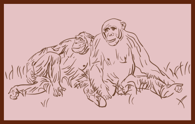 Resting chimpanzee clipart