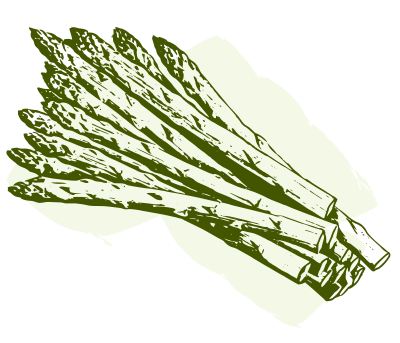 Retro Asparagus clipart