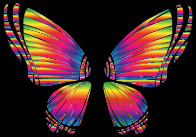 RGB Butterfly Silhouette 10 8 clipart