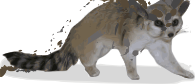 ringtail - Bassariscus Astutus clipart