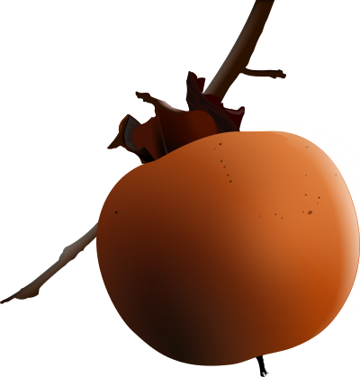 Ripe persimmon clipart