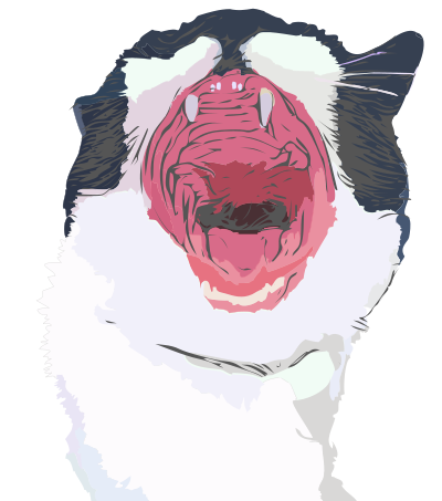 Roaring yawning or laughing cute cat cartoon with outline clipart