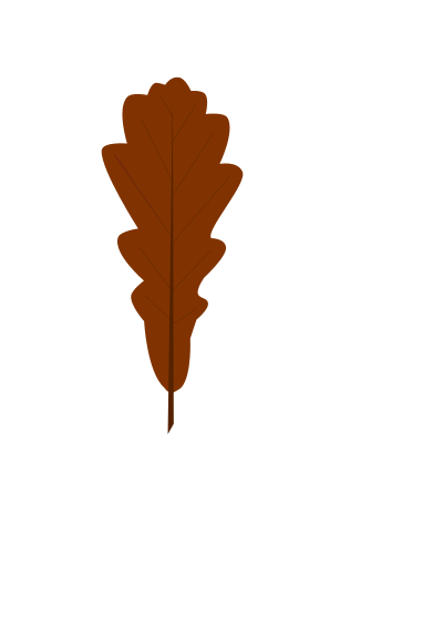 Roble común quercus robur clipart