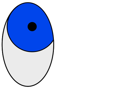 Rolling Eyes clipart