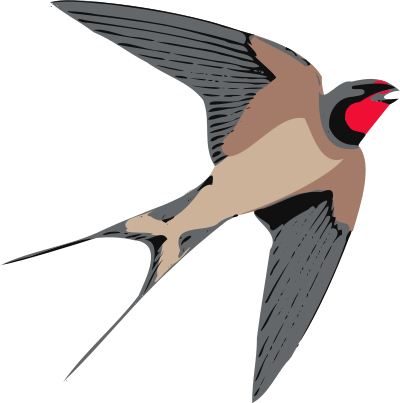 Rondine clipart