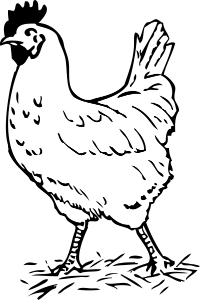 Rooster clipart
