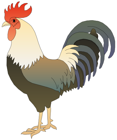 Rooster clipart