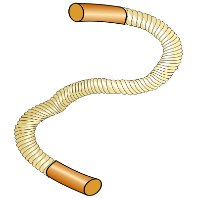 Rope clipart