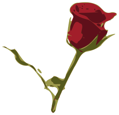 Rosa clipart