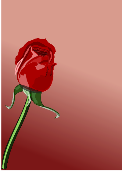 Rosa clipart
