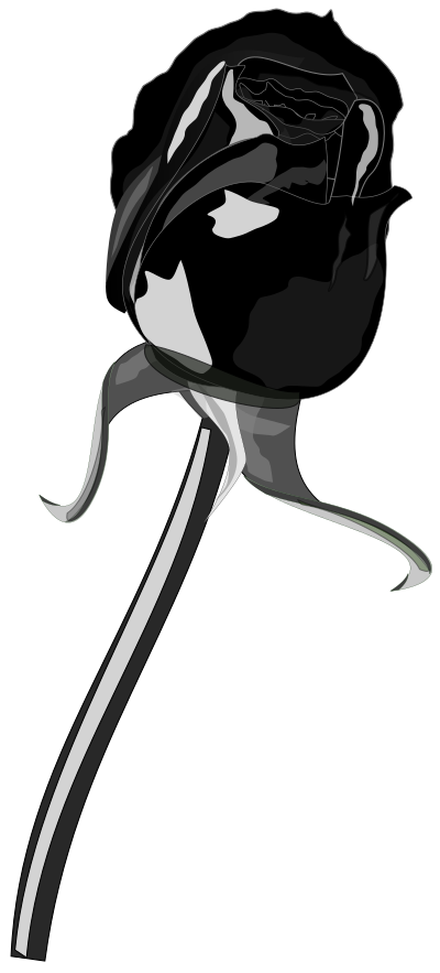 Rosa negra clipart