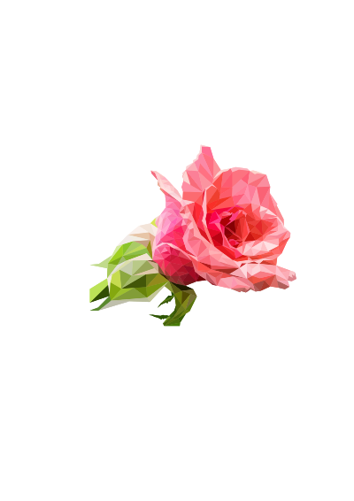 Rosa poligono clipart