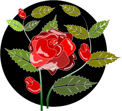 Rosa Rose clipart