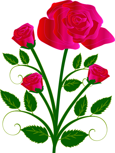 Rose clipart