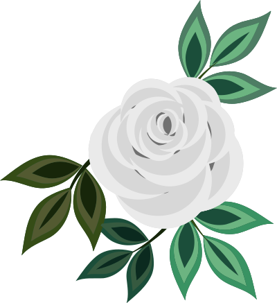 Rose 20 (white) clipart